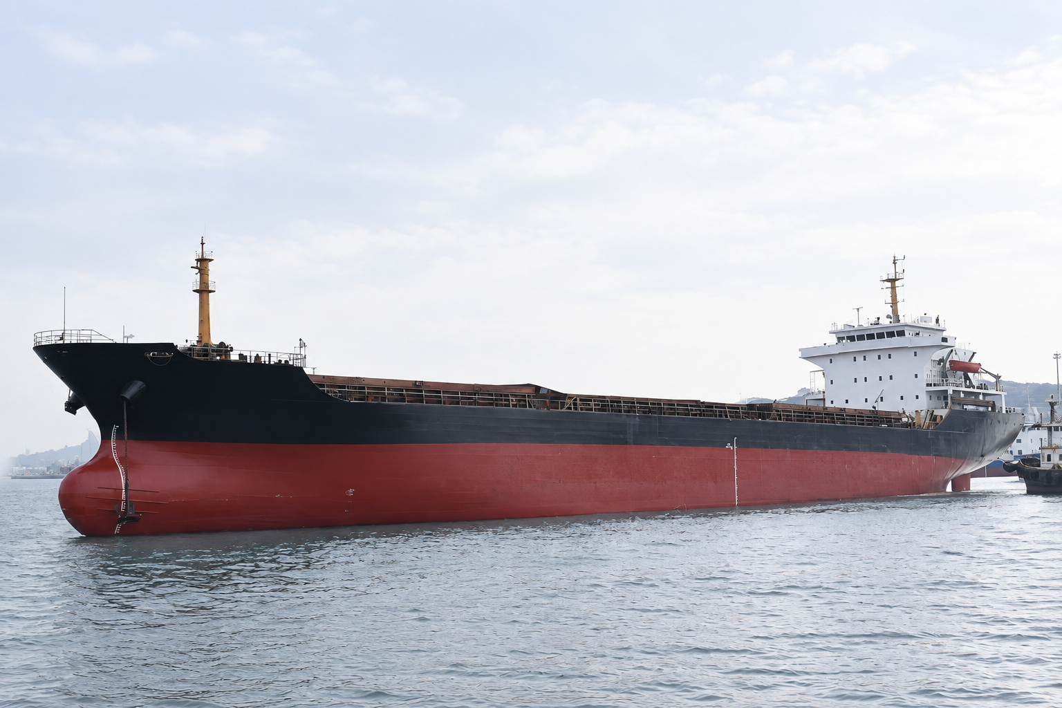 13,000 DWT Bulk Carrier - 1