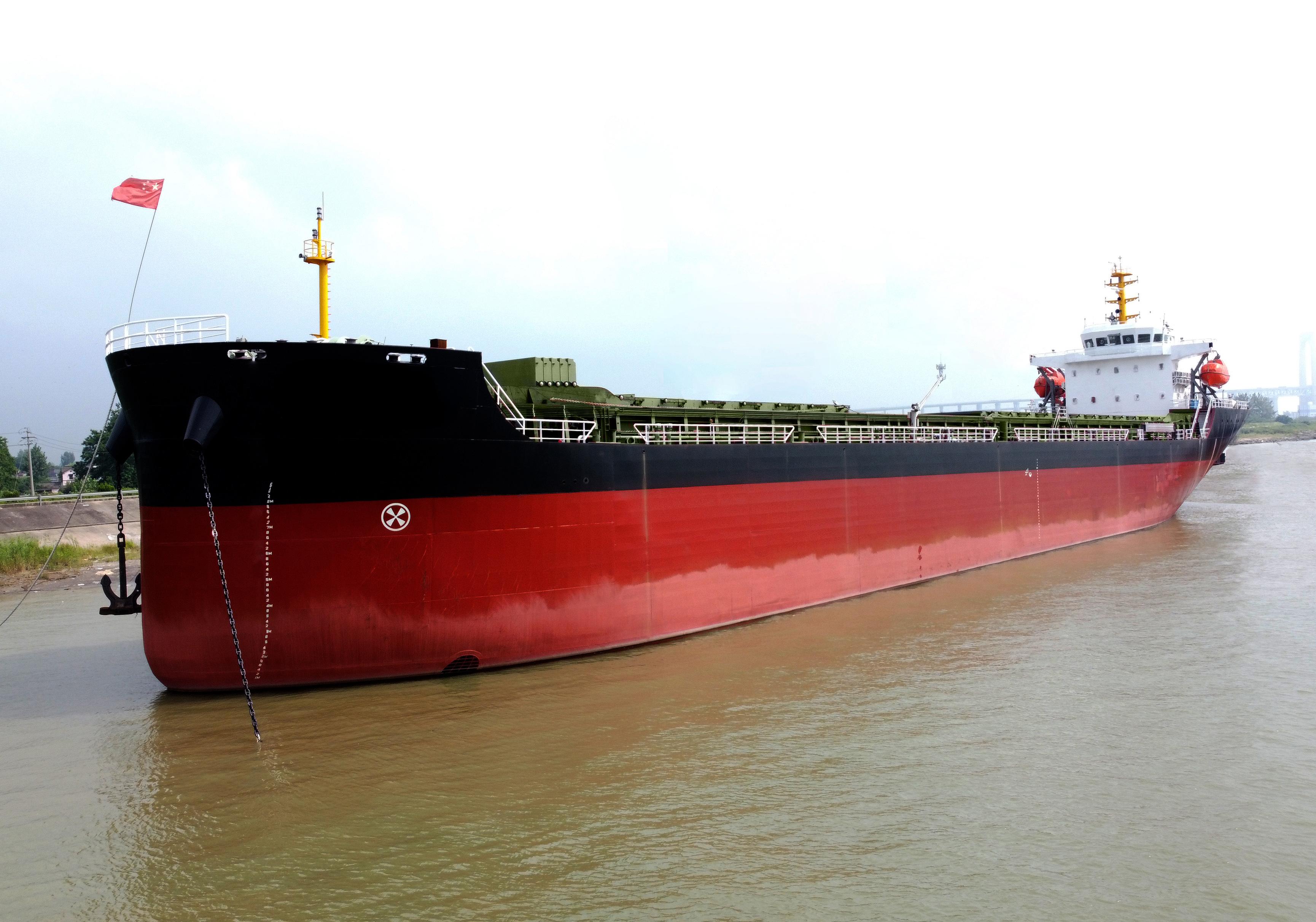 12,250 DWT Bulk Carrier - 2