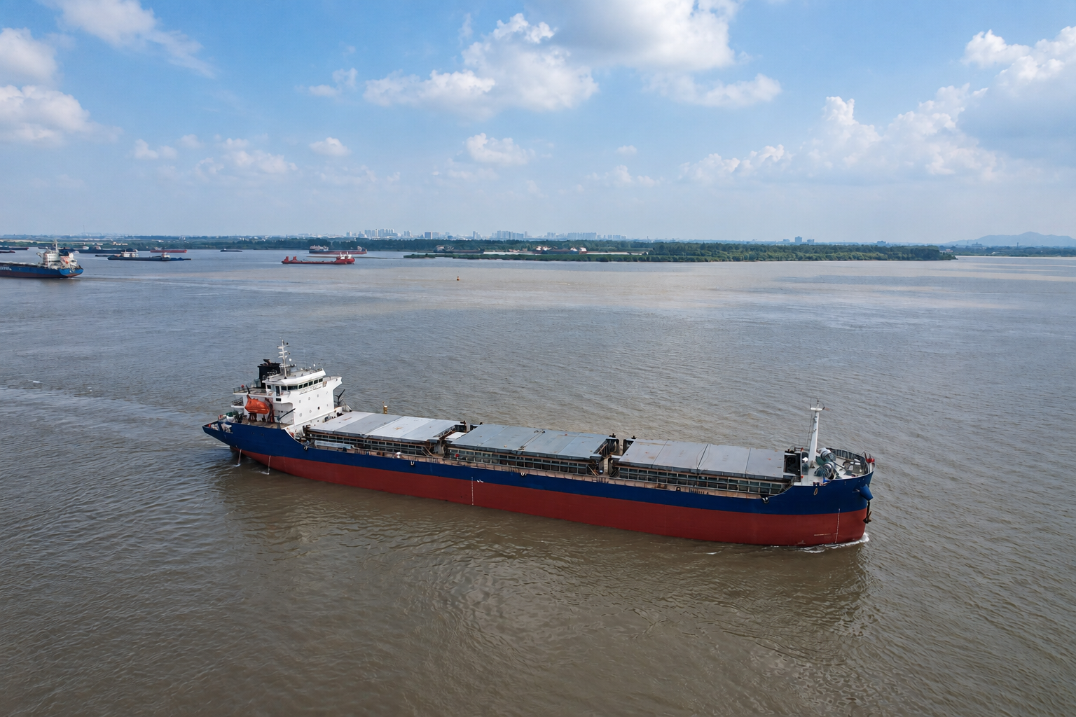 12,500 DWT Bulk Carrier - 1